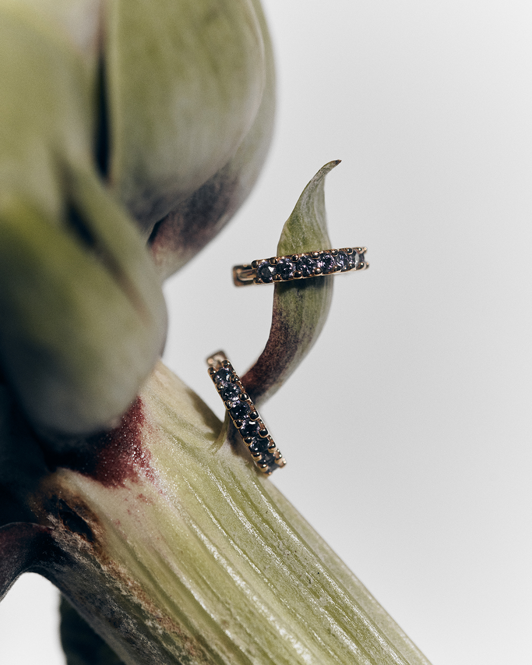 LD_20251120_STILLHOME_197_72HD